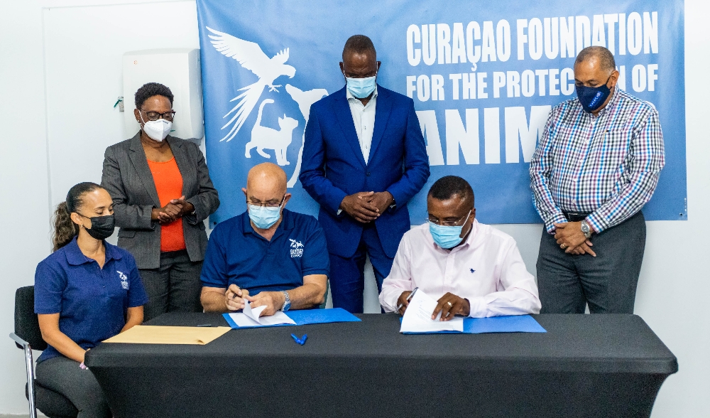 Agreement between the CTB and Curaçao Foundation for the Protection of Animals to address the issue of stray dogs