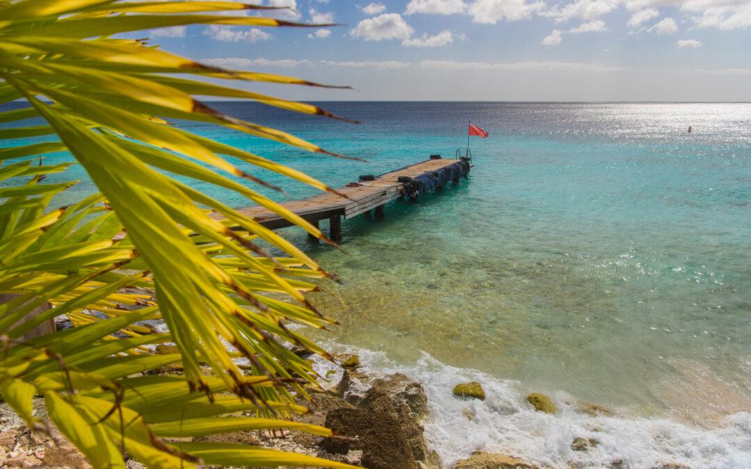Curacao’s stayover arrivals off to a great start for the year