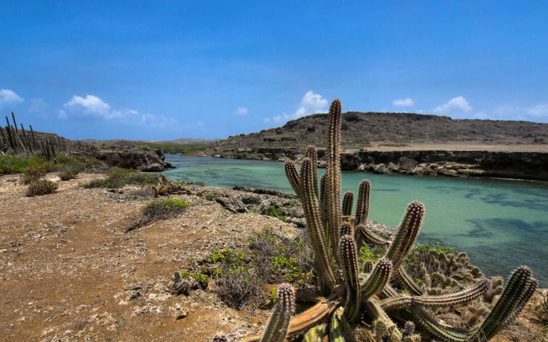 Curaçao welcomed 73,289 stayover visitors in January 2025